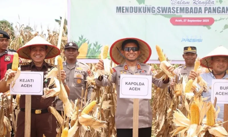 Kapolda Aceh Irjen Pol. Marzuki Ali Basyah memimpin panen raya jagung di Aceh Jaya.(Foto:Dok.)