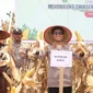 Kapolda Aceh Irjen Pol. Marzuki Ali Basyah memimpin panen raya jagung di Aceh Jaya.(Foto:Dok.)