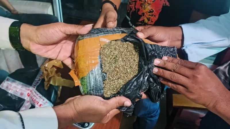 Barang bukti ganja seberat dua kilogram yang diamankan di Bandara SIM Aceh Besar.(Foto:Dok/Lanud SIM)