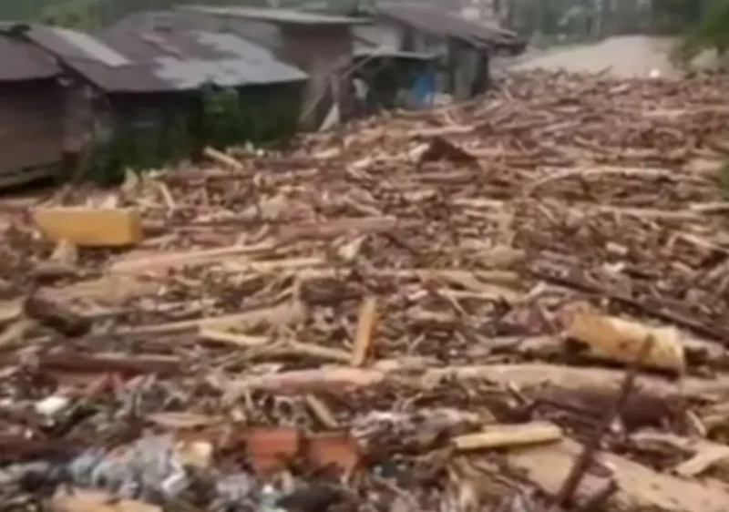 Tumpukan kayu hanyut memenuhi aliran Sungai Kembang Tanjong Pidie dan tersangkut di bawah jembatan. (Foto: Dok FB)