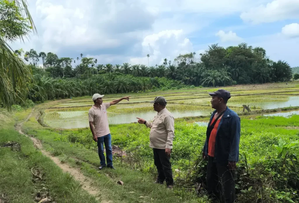 Tinjau jalan produksi
