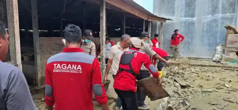 Relawan TAGANA dan ASN membersihkan lumpur pascabanjir di Aceh Utara. (Foto:Dok/Ist)