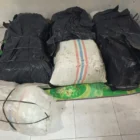 Barang bukti 50 kilogram ganja yang disita Polda Aceh di Bireuen. (Foto:Arsip Polda Aceh)