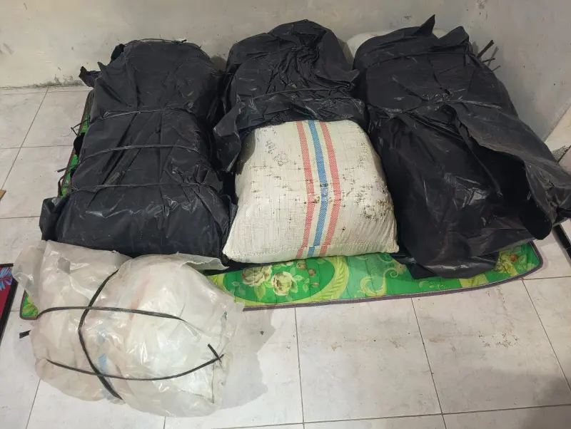 Barang bukti 50 kilogram ganja yang disita Polda Aceh di Bireuen. (Foto:Arsip Polda Aceh)