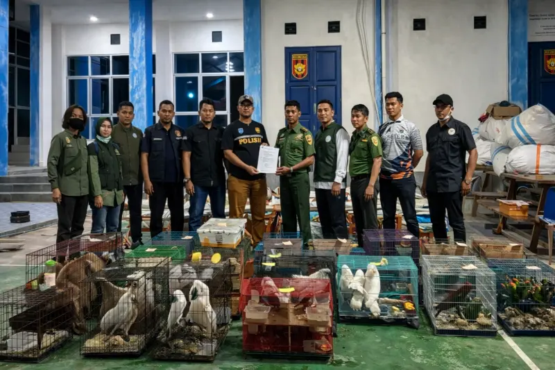 Bea Cukai Langsa gagalkan penyelundupan satwa liar dilindungi.(Foto: Dok/Bea Cukai)