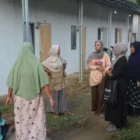 Kondisi Huntara korban banjir Aceh Sawang tidak layak, sanitasi buruk, risiko kesehatan meningkat drastis. (Foto:Dok/Ist).