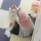 Rekaman CCTV ungkap kekerasan balita di daycare tempat penitipan anak di Banda Aceh. (Foto:Dok/Ist)