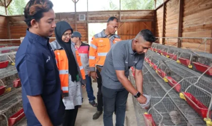 Solusi Bangun Andalas