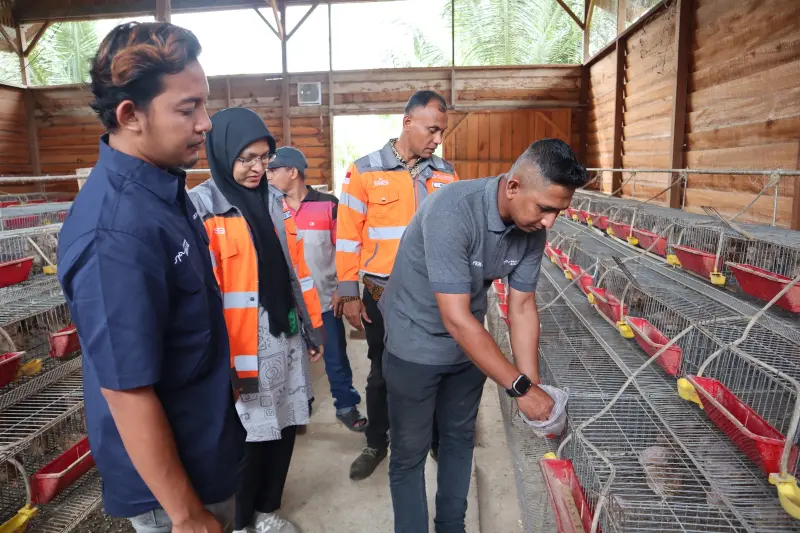Solusi Bangun Andalas libatkan masyarakat dalam pengelolaan limbah kelapa menjadi pakan ternak, sekaligus mengurangi timbunan sampah dan menurunkan emisi. (Foto:Dok/SBA).