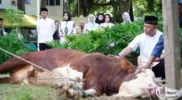 Sembelih hewan qurban Kodam IM