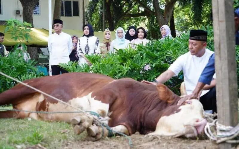 Penyembelihan qurban Kodam IM berlangsung sesuai syariat Islam. (Foto:Dok/Kodam IM)