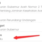 Tampilan situs JDIH Aceh menunjukkan Pergub JKA masih berstatus berlaku resmi. (Foto:Dok/LamanNews)