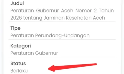 Tampilan situs JDIH Aceh