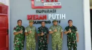 Tim evaluasi kdkmp