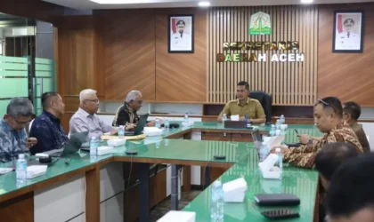 Investasi KEK Arun Lhokseumawe, Hilirisasi migas Aceh
