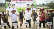 Gerakan tanam padi perdana