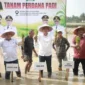 Sekda Aceh memimpin tanam padi perdana dalam gerakan tanam padi pascabencana di Desa Bukit Panjang Aceh Tamiang. (Foto:Dok/Adpim)