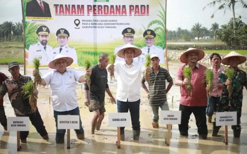 Sekda Aceh memimpin tanam padi perdana dalam gerakan tanam padi pascabencana di Desa Bukit Panjang Aceh Tamiang. (Foto:Dok/Adpim)