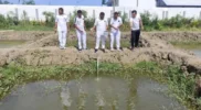 Penebaran benih ikan nila di kolam lapas Banda Aceh