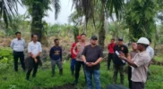 Penyelidikan karhutla oleh Ditreskrimsus