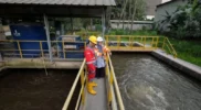 Pengelolaan pemanfaatan air