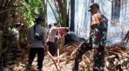 Cegah kebakaran hutan
