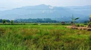 Pemulihan lahan petani Pasca bencana