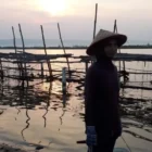 Perempuan pesisir pencari tiram di Alue Naga. (Foto:Dok/Natural Aceh)
