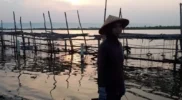 Pemberdayaan ekonomi perempuan pesisir aceh